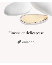 Finesse Extrême Lerida Blanc - Dragées fabriquées en France