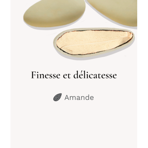 Finesse Extrême Lerida Dune