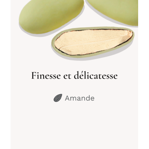 Finesse Extrême Lerida Jaune