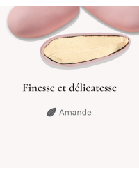 Finesse Extrême Lerida Rose - Médicis Paris - Dragées fabriquées en France