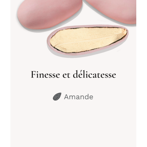 Finesse Extrême Lerida Rose - Médicis Paris - Dragées fabriquées en France