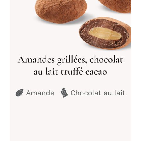 Amandes grillées et chocolat lait truffé cacao - Médicis Paris - Chocolats fabriqués en France